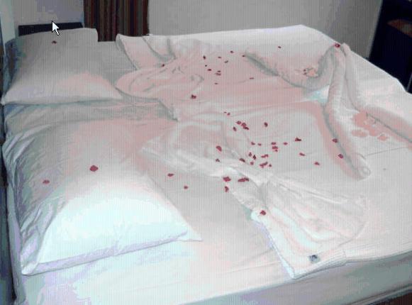 Blue Diamond Alya Hotel アランヤ 部屋 写真